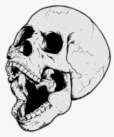 Skull Png Download - Skull Drawing Png, Transparent Png, Transparent PNG