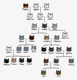 Picture - Warriors Cats Family Tree, HD Png Download, Transparent PNG