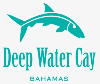 Deep Water Cay Logo - Squaliformes, HD Png Download, Transparent PNG