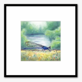 Down By The River Blue Damselfly Watercolor Painting - Picture Frame, HD Png Download, Transparent PNG