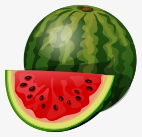 Fruiting Clipart Watermelon - Clipart Of Watermelon, HD Png Download, Transparent PNG