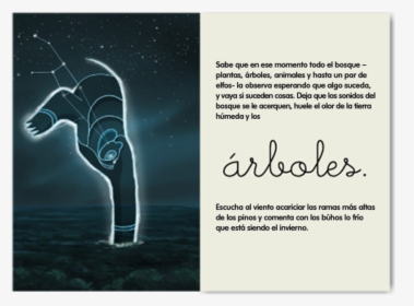 Twoelf Cuento Osa3 - Flyer, HD Png Download, Transparent PNG
