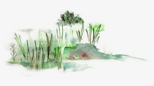 Shore - Watercolor Paint, HD Png Download, Transparent PNG
