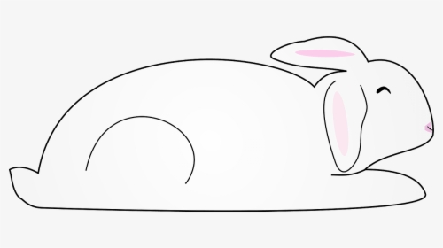 Rabbit, HD Png Download, Transparent PNG