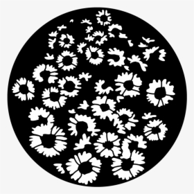 Apollo Sunflower Breakup - Circle, HD Png Download, Transparent PNG
