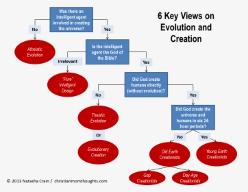 6 Views On Evolution And Creation - Evolution Basics, HD Png Download, Transparent PNG