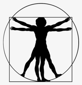 Vitruvian Man Vector Free, HD Png Download, Transparent PNG