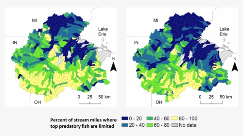 Transparent Water Stream Png - Map, Png Download, Transparent PNG