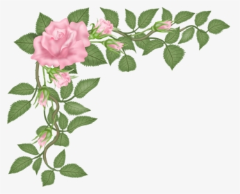 Vector Bouquet Eucalyptus Leaf - Rose, HD Png Download, Transparent PNG
