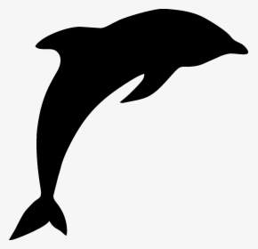 Common Bottlenose Dolphin - Clipart Dolphin Png, Transparent Png, Transparent PNG