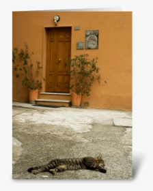 Cat Nap Greeting Card - Ocelot, HD Png Download, Transparent PNG