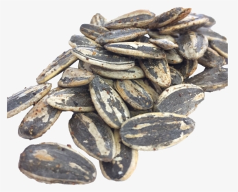 Sunflower Seed, HD Png Download, Transparent PNG