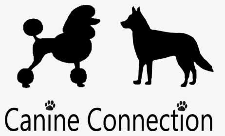 Canine Connection Cleveland Tn - Free Crochet Poodle Crochet Pattern, HD Png Download, Transparent PNG