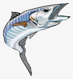 Transparent Fish For Logo, HD Png Download, Transparent PNG
