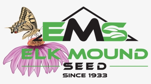 Elk Mound Wildflowers, HD Png Download, Transparent PNG