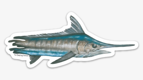 Atlantic Blue Marlin, HD Png Download, Transparent PNG