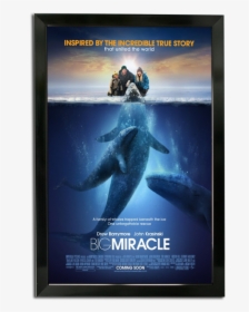 Bass Loc Poster Frame - Big Miracle Movie Poster, HD Png Download, Transparent PNG