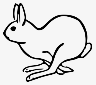 Bunny Danko Friendly Rabbit Clip Art At Vector Clip - Arctic Hare Clip Art, HD Png Download, Transparent PNG