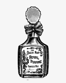 - Vintage Perfume Bottle Vector Png , Png Download - Vintage Perfume Bottle Png, Transparent Png, Transparent PNG