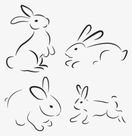 Rabbit Nature Animal Free Picture - Rabbit, HD Png Download, Transparent PNG
