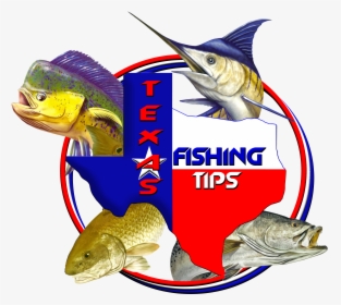 Fishing Maps Corpus Christi, HD Png Download, Transparent PNG