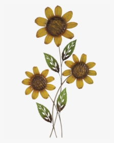 34 - Sunflower, HD Png Download, Transparent PNG