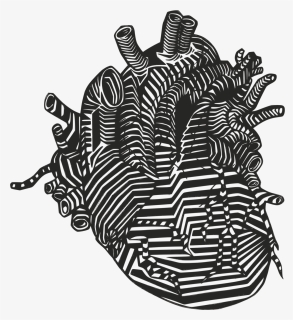 Heart Svg Clip Arts - Anatomical Heart Drawing Png, Transparent Png, Transparent PNG