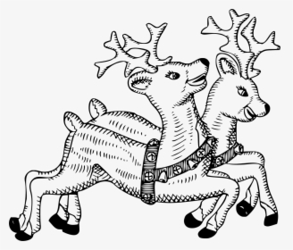 Christmas Reindeer Clipart Black And White, HD Png Download, Transparent PNG