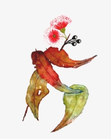 Eucalyptus Camaldulensis Painting In Transition Still - Illustration, HD Png Download, Transparent PNG