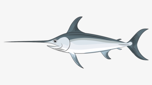 Swordfish, HD Png Download, Transparent PNG