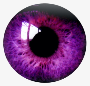 Eye Eyes Purple Burgundy Violet Purpleeyesremixit Ftest - Purple Eye Lens Png, Transparent Png, Transparent PNG