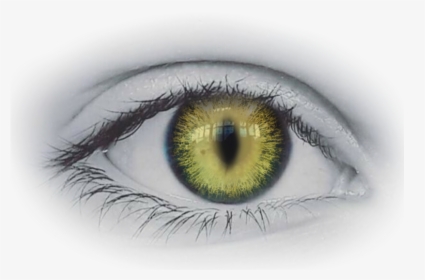 Transparent Scary Eye Clipart - Clip Art, HD Png Download, Transparent PNG