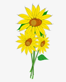 Sun Flower Plant Free Picture - Bouquet Of Sunflower Clipart, HD Png Download, Transparent PNG