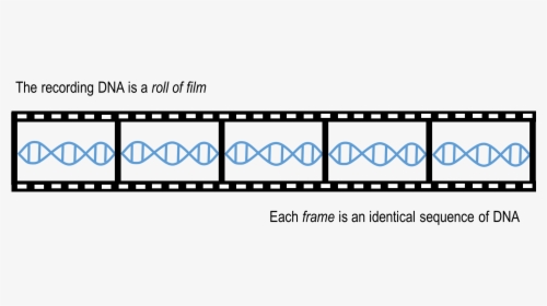 Clip Art, HD Png Download, Transparent PNG