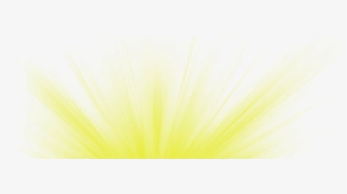 #ftestickers #effect #light #glow #yellow - Grass, HD Png Download, Transparent PNG