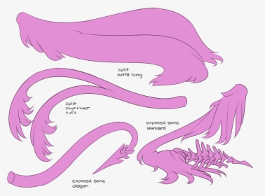 Picture - Dragon With Two Tails, HD Png Download, Transparent PNG