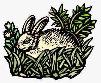 Vector Illustration Of Small Mammal Rabbit Lying In, HD Png Download, Transparent PNG