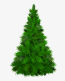 Green Pine Tree Png Clip Art Pine Tree- - Pine Tree Clipart Png, Transparent Png, Transparent PNG