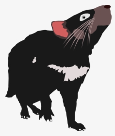 Tasmanian Devil Vector - Tasmanian Devil Animal Clipart, HD Png Download, Transparent PNG