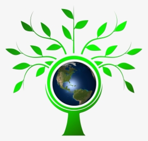 Transparent Background Tree Vectors Png, Png Download, Transparent PNG