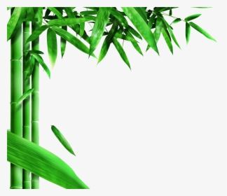 Transparent Bamboo Background Clipart, HD Png Download, Transparent PNG