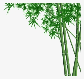 Bamboo Forest Transparent - Bamboo Png, Png Download, Transparent PNG