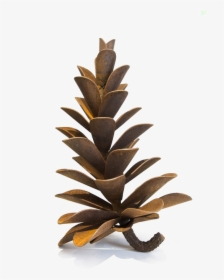 Pine Cone Transparent Images - Christmas Tree, HD Png Download, Transparent PNG