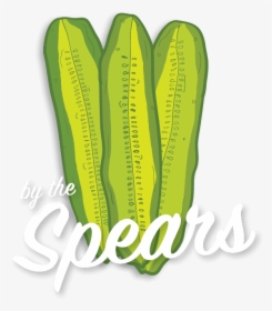 Pickle Spears Illustration - Calligraphy, HD Png Download, Transparent PNG