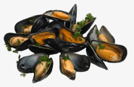Mejillones Cocidos Con Perejil - Fowey Mussels, HD Png Download, Transparent PNG