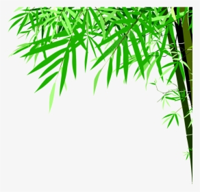 Green Bamboo Png - Detox Foot Patch Annex, Transparent Png, Transparent PNG