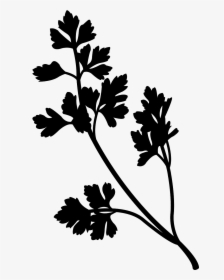 Parsley Silhouette, HD Png Download, Transparent PNG