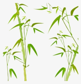 Bamboo Watercolor Painting Poster - Bamboo Trees Watercolor Png, Transparent Png, Transparent PNG