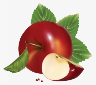 Apple Fruit Vector Png, Transparent Png, Transparent PNG