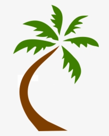 Coconut, Tree, Tropical, Palms, Hawaiian, Exotic, Green - Palm Tree Clip Art Transparent Background, HD Png Download, Transparent PNG